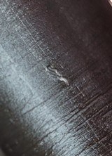 1944 Ithaca 1911 A1 - U.S. Navy Shipped - Original Finish - Sharp! - 13 of 15