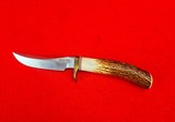Randall Made Knives Model #8 Bird & Trout - Beautiful Stag! New Old Stock - Skip The 7 Year Wait! - 3 of 14