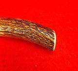 Randall Made Knives Model #8 Bird & Trout - Beautiful Stag! New Old Stock - Skip The 7 Year Wait! - 4 of 14