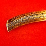 Randall Made Knives Model #8 Bird & Trout - Beautiful Stag! New Old Stock - Skip The 7 Year Wait! - 10 of 14