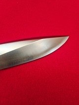 Early 1990's Randall Made Knives Model 25-5 Trapper With Polished Stag! Skip The 7 Year Wait! - 15 of 18