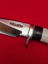 Early 1990's Randall Made Knives Model 25-5 Trapper With Polished Stag! Skip The 7 Year Wait! - 6 of 18
