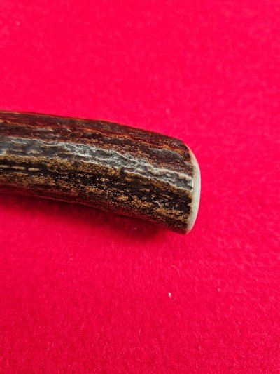 Randall Made Knife Model 7 Fisherman Hunter - Beautiful Stag - Image 3 of 16