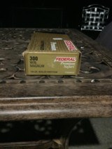 Federal Premium 300 Winchester Magnum (300 Win Mag) - 1 of 1