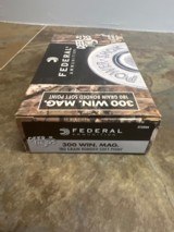 Federal 300 Winchester Magnum - 2 of 2