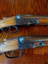 The Grouse Guns - 4 of 13