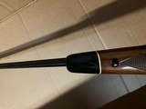 Winchester - 11 of 15