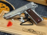 Colt 1911 Government Ducks Unlimited Special .45 ACP