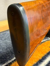 Winchester 101 Field Pigeon Grade Xtr Light Weight - 5 of 19