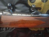 Colt Sauer 25.06 - 4 of 16