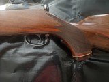 Colt Sauer 25.06 - 9 of 16