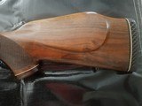 Colt Sauer 25.06 - 8 of 16