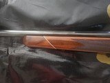 Colt Sauer 25.06 - 11 of 16