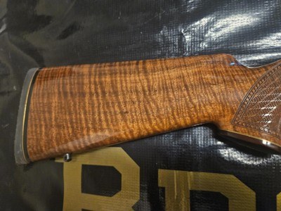 Browning A-Bolt 270 Big Horn Sheep