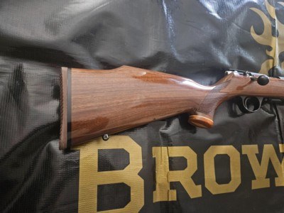 Weatherby Mark XXII 17HMR