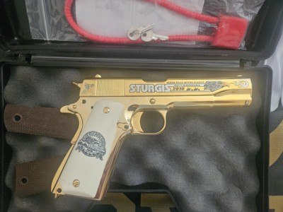 Auto Ordnance 1911 Sturgis Commemorative NIC - Image 3 of 7
