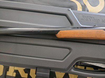 Daisy Model 21 SXS - Image 9 of 13