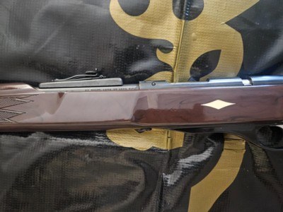 Remington Nylon Model 10 22LR - Image 7 of 9