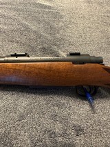 Cooper Arms of Montana model 52 6.5x284 - 2 of 13