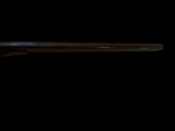 Remington 1882/1883 10 Gauge - 4 of 11