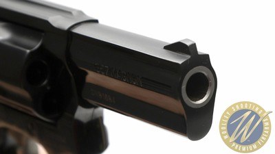 Taurus 605 Blued 3