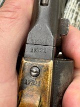 Colt 1861 Navy W/Slim Jim Holster - 9 of 15