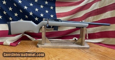 BLUE LINE SOLUTIONS R-22 BLG DIANA .22LR RIFLE
