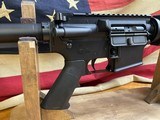 PALMETTO STATE ARMORY PA-15 MULTI RIFLE - 13 of 16