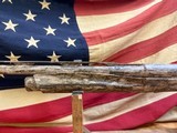 BENELLI SBE3 12GA SHOTGUN - 7 of 13
