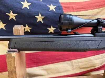 RUGER 10/22 - Image 8 of 15