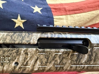 ESCORT SHOTGUNS PS - Image 12 of 13