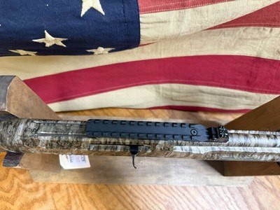 ESCORT SHOTGUNS PS - Image 11 of 13