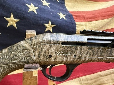 ESCORT SHOTGUNS PS - Image 7 of 13