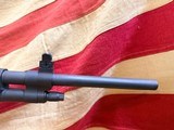 SPRINGFIELD M1A - 5 of 16