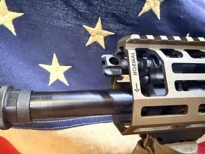 SIG SAUER MCX-SPEAR - Image 15 of 21