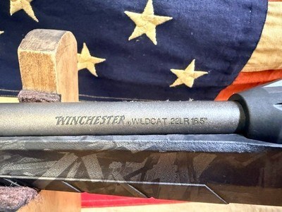 WINCHESTER WILDCAT - Image 7 of 13