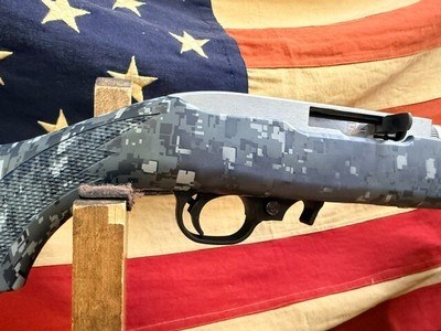 RUGER 10/22 - Image 5 of 14