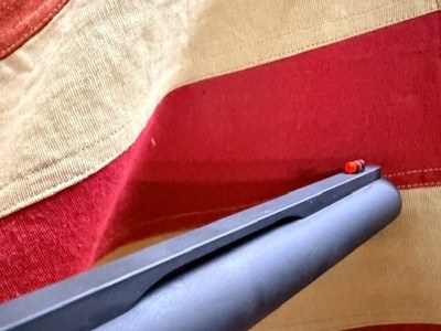 BENELLI SUPER NOVA - Image 12 of 16