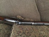 Winchester 1886 33 wcf - 5 of 7