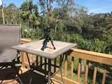 cz 455 22lr - 4 of 4