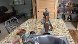 1957 winchester m70 30.06 Heavy barrel - 4 of 7