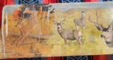 Winchester model 94 Antlered Game Commemorative 30-30 - 10 of 17