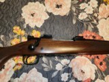 winchester model 70 243 - 5 of 14