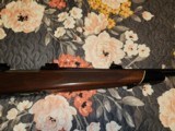 winchester model 70 243 - 6 of 14