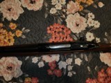 winchester model 70 243 - 14 of 14