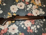 winchester model 70 243 - 3 of 14