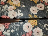 winchester model 70 243 - 4 of 14