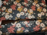 winchester model 70 243 - 1 of 14