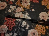 winchester model 70 243 - 10 of 14