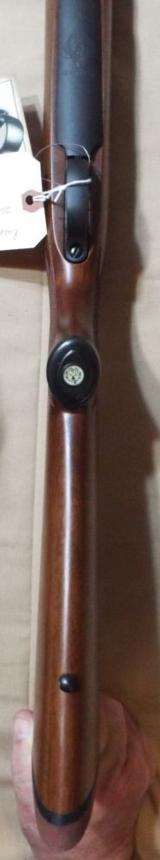 Ruger M77 264 win mag - 13 of 16